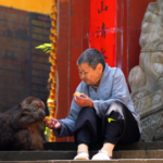 एक-बाहों वाला बंदर, नन और भिक्षु: एक दिल को छू लेने वाली वायरल कहानी