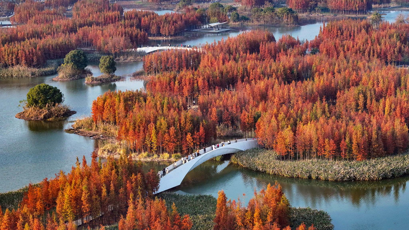 बीजिंग संगोष्ठी शी के प्राकृतिक संसाधन दृष्टिकोण का अन्वेषण करती है