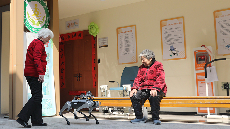 चीनी मुख्य भूमि बुजुर्गों की देखभाल वाले रोबोट्स के लिए वैश्विक मानक का नेतृत्व करती है