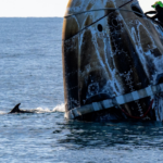 स्प्लैशडाउन विजय: डॉल्फिन्स ने स्पेसएक्स कैप्सूल की वापसी का स्वागत किया स्प्लैशडाउन विजय: डॉल्फिन्स ने स्पेसएक्स कैप्सूल की वापसी का स्वागत किया video poster