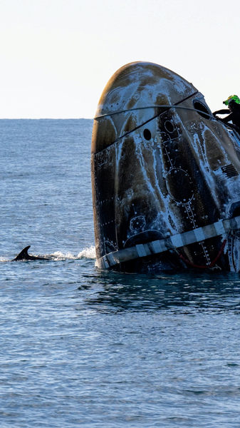 स्प्लैशडाउन विजय: डॉल्फिन्स ने स्पेसएक्स कैप्सूल की वापसी का स्वागत किया video poster