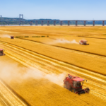 शी जिनपिंग 2025 के नववर्ष संबोधन में सामाजिक समर्थन का समर्थन करते हैं शी जिनपिंग 2025 के नववर्ष संबोधन में सामाजिक समर्थन का समर्थन करते हैं