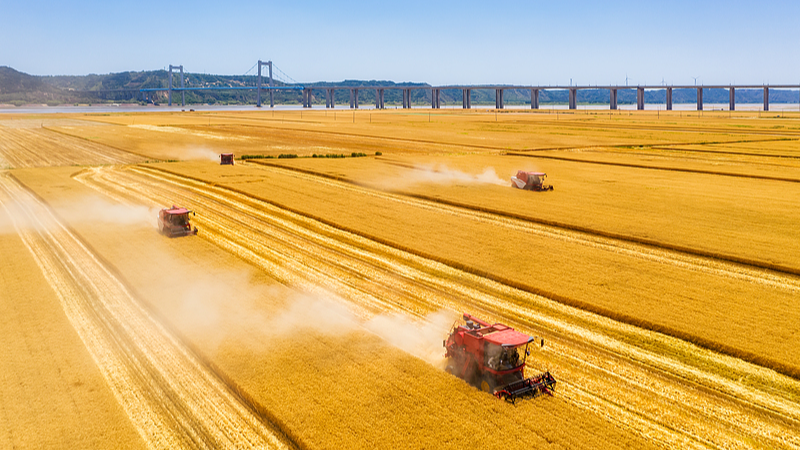 शी जिनपिंग 2025 के नववर्ष संबोधन में सामाजिक समर्थन का समर्थन करते हैं