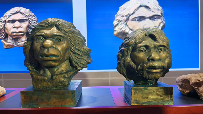 बहाल किए गए युनक्सियन मन जीवाश्म प्रारंभिक मानव कथा का खुलासा करते हैं