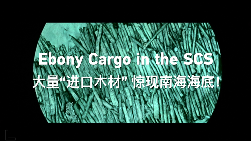 दक्षिण चीन सागर में प्राचीन मिंग जहाज़ का मलबा 500 वर्षीय आबनूस कार्गो को उजागर करता है video poster