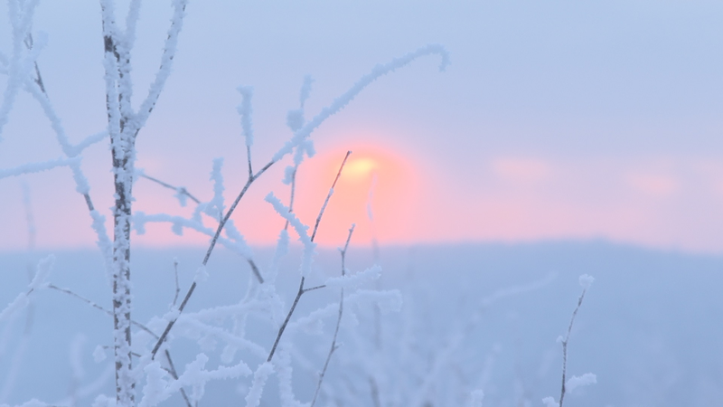 अरक्सान सिटी का राइम परी-भूमि सर्दियों में चमकता है video poster