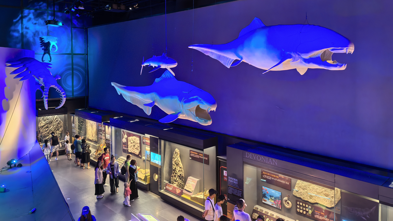 प्राचीन जीवाश्म: एशिया की विकसित विरासत