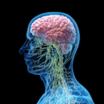 अल्जाइमर के मरीजों के लिए नई उम्मीद का संकेत देती अभिनव गर्दन सर्जरी अल्जाइमर के मरीजों के लिए नई उम्मीद का संकेत देती अभिनव गर्दन सर्जरी