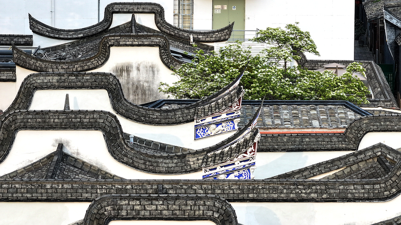 सीमा वृक्ष के फूल फूज़ौ की ऐतिहासिक गलियों में कालातीत आकर्षण लाते हैं