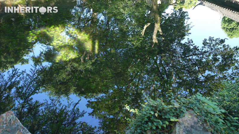 सूज़ौ बाग: जहाँ प्राचीन सामंजस्य आधुनिक परिवर्तन को प्रेरित करता है