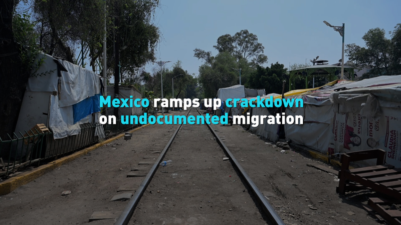 मैक्सिको ने अवैध प्रवासियों पर कार्रवाई तेज की video poster