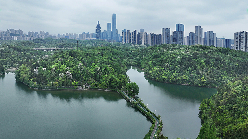 चीन ने ड्राफ्ट पर्यावरण कोड का अनावरण किया: हरित शासन में एक नया युग