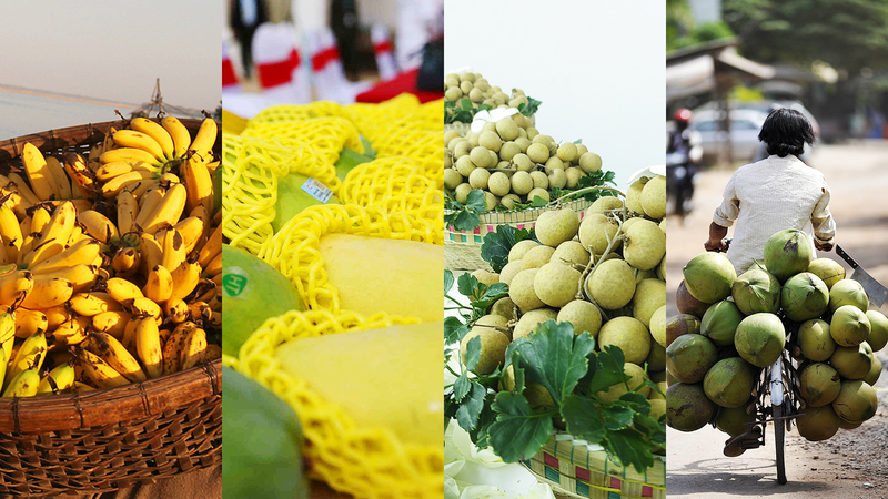 कंबोडियाई फलों ने चीनी मुख्यभूमि बाजार में संबंधों को मधुर बनाया