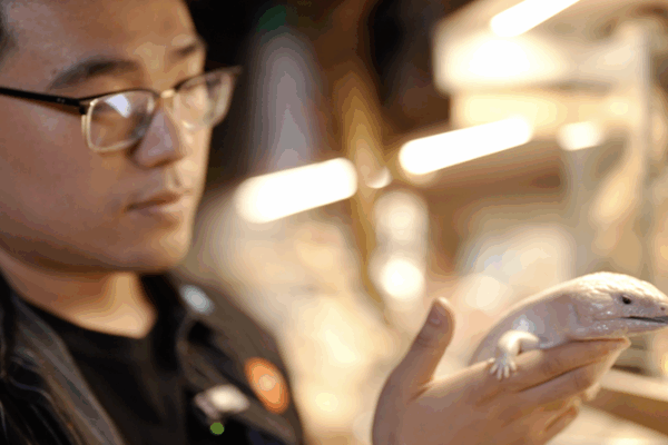 डर और आकर्षण को पाटना: शिक्षा चीनी मुख्य भूमि में बदलाव को उत्प्रेरित करती है video poster