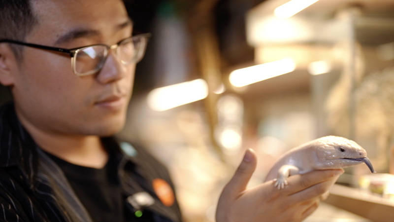 डर और आकर्षण को पाटना: शिक्षा चीनी मुख्य भूमि में बदलाव को उत्प्रेरित करती है video poster