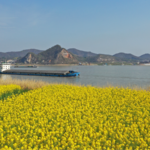 वान्ग हुनिंग ने यांग्त्ज़े संरक्षण के लिए निगरानी की वकालत की वान्ग हुनिंग ने यांग्त्ज़े संरक्षण के लिए निगरानी की वकालत की