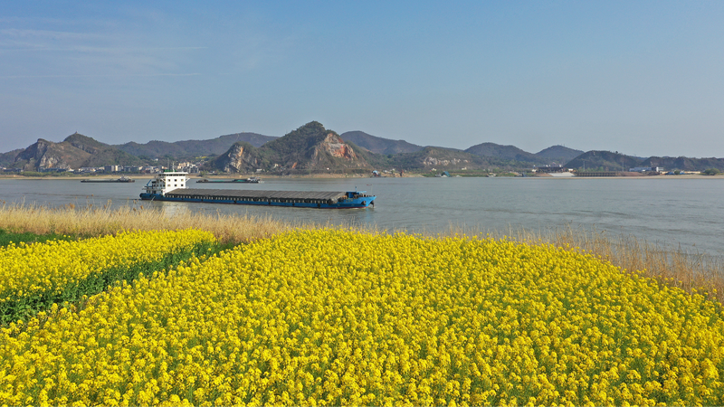 वान्ग हुनिंग ने यांग्त्ज़े संरक्षण के लिए निगरानी की वकालत की