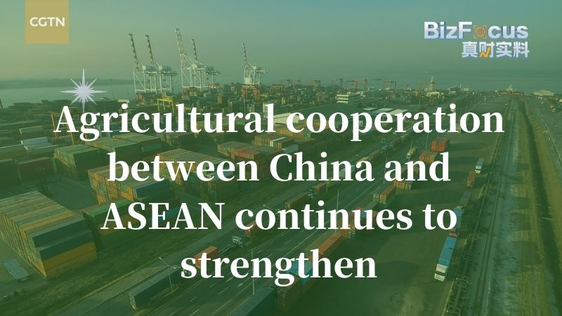 2024 में $34.73B आयात के साथ ASEAN–चीनी मुख्यभूमि कृषि साझेदारी बढ़ी