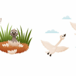 कुरुप बत्तख: चीन और डेनमार्क के बीच संस्कृतियों का पुल कुरुप बत्तख: चीन और डेनमार्क के बीच संस्कृतियों का पुल