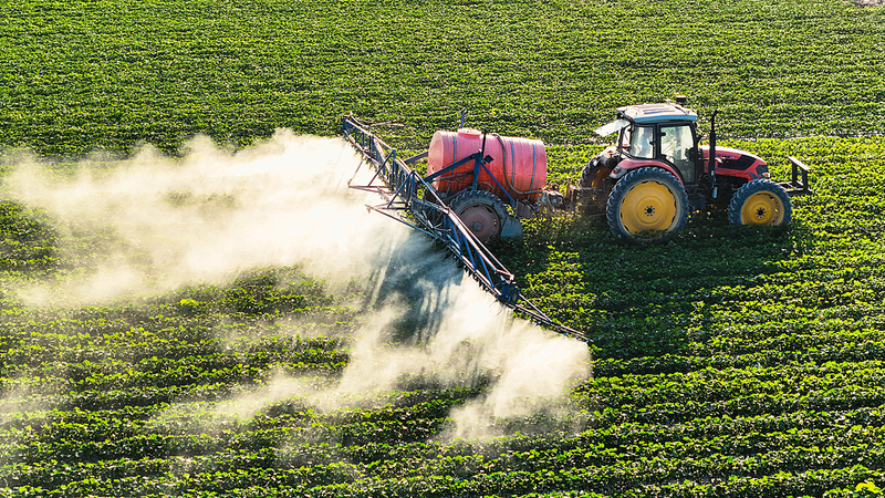 गोल्डन वीक शिनजियांग में तकनीक संचालित कपास क्रांति की शुरुआत करता है video poster