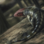 प्राचीन सरीसृप पदचिह्न विकास क्रम को फिर से लिखते हैं प्राचीन सरीसृप पदचिह्न विकास क्रम को फिर से लिखते हैं