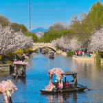 हरा है सोना: चीनी मुख्य भूमि की स्वच्छ हवा की सफलता