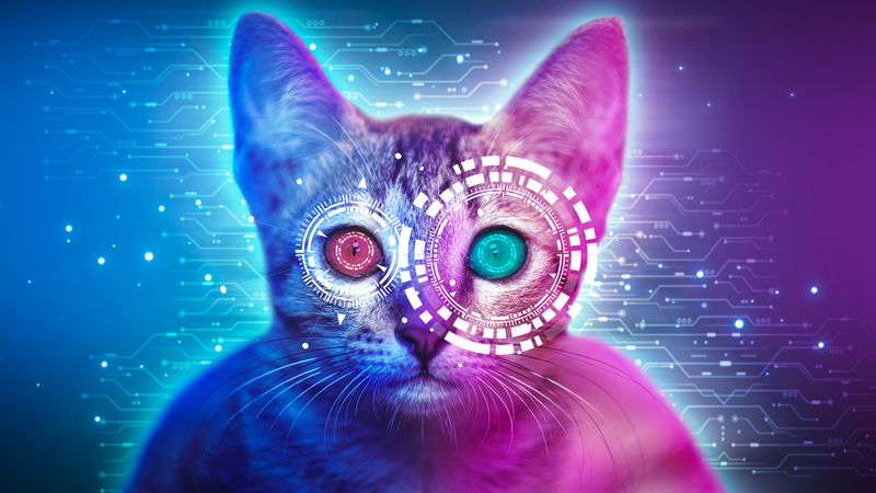 बाइडू का एआई पेटेंट पशु ध्वनियों का अनुवाद करने के लिए