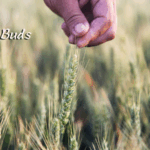 शियाओमन: छोटे पूर्णता और गहरी बुद्धिमत्ता को अपनाना शियाओमन: छोटे पूर्णता और गहरी बुद्धिमत्ता को अपनाना