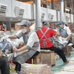 दुनिया की चुनौतियों के बीच लिपु का हैंगर उद्योग चमकता है दुनिया की चुनौतियों के बीच लिपु का हैंगर उद्योग चमकता है