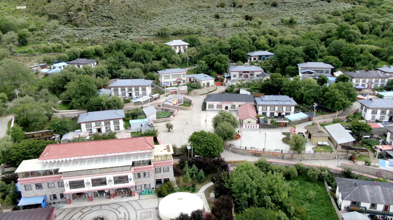 गलाई गांव शीजांग की खिलती समृद्धि से चमकता है गलाई गांव शीजांग की खिलती समृद्धि से चमकता है video poster