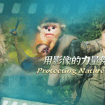 प्रकृति की रक्षा: चीनी मुख्य भूमि की जैव विविधता पर शी झिनॉन्ग की दृष्टि प्रकृति की रक्षा: चीनी मुख्य भूमि की जैव विविधता पर शी झिनॉन्ग की दृष्टि video poster