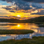 चीन रेगिस्तान को बदलता है: पर्यावरणीय नवीनीकरण और आर्थिक विकास चीन रेगिस्तान को बदलता है: पर्यावरणीय नवीनीकरण और आर्थिक विकास