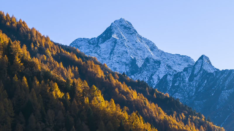 किंगहाई-तिब्बत पठार पर अल्पाइन कार्बन सिंक तंत्र का अनावरण किंगहाई-तिब्बत पठार पर अल्पाइन कार्बन सिंक तंत्र का अनावरण