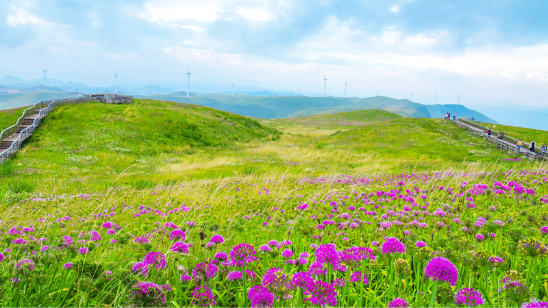 चीनी-स्विस पारिस्थितिकी पर्यटन से परस्पर वृद्धि