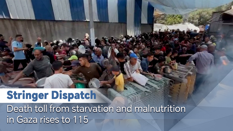 गाजा संकट गहराया: भूख से संबंधित 115 मौतें दर्ज गाजा संकट गहराया: भूख से संबंधित 115 मौतें दर्ज video poster