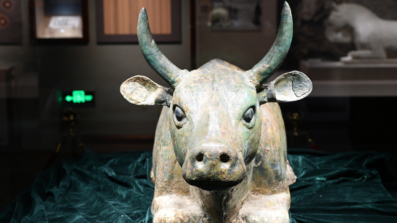 यूनेस्को स्पॉटलाइट के तहत गर्मियों की बढ़त का जश्न मनाता निंग्ज़िया संग्रहालय