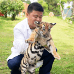 टाइगर की दहाड़ को समझना: एशिया की जंगली विरासत में अंतर्दृष्टि टाइगर की दहाड़ को समझना: एशिया की जंगली विरासत में अंतर्दृष्टि video poster