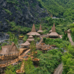 चीन का कार्बन व्यापार: बांस के जंगल हरे रंग को सोने में बदलते हुए चीन का कार्बन व्यापार: बांस के जंगल हरे रंग को सोने में बदलते हुए