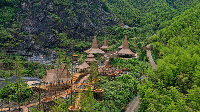 चीन का कार्बन व्यापार: बांस के जंगल हरे रंग को सोने में बदलते हुए