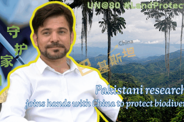 पाकिस्तानी वनस्पतिशास्त्री चीनी मुख्यभूमि के वैज्ञानिकों के साथ जैव विविधता की रक्षा के लिए साझेदारी करते हैं पाकिस्तानी वनस्पतिशास्त्री चीनी मुख्यभूमि के वैज्ञानिकों के साथ जैव विविधता की रक्षा के लिए साझेदारी करते हैं video poster
