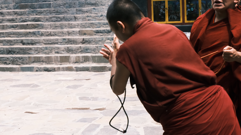बुद्धिमत्ता की गूंज: शीज़ांग के ताशिलहुनपो में बियानजिंग बहसें बुद्धिमत्ता की गूंज: शीज़ांग के ताशिलहुनपो में बियानजिंग बहसें
