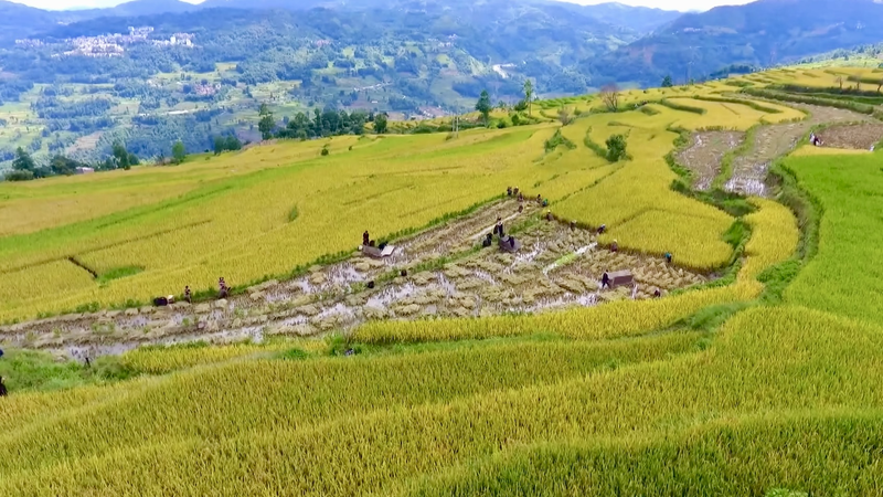 चीनी मुख्यभूमि ने विश्व धरोहर सिंचाई संरचनाओं की सूची में चार स्थल जोड़े चीनी मुख्यभूमि ने विश्व धरोहर सिंचाई संरचनाओं की सूची में चार स्थल जोड़े video poster