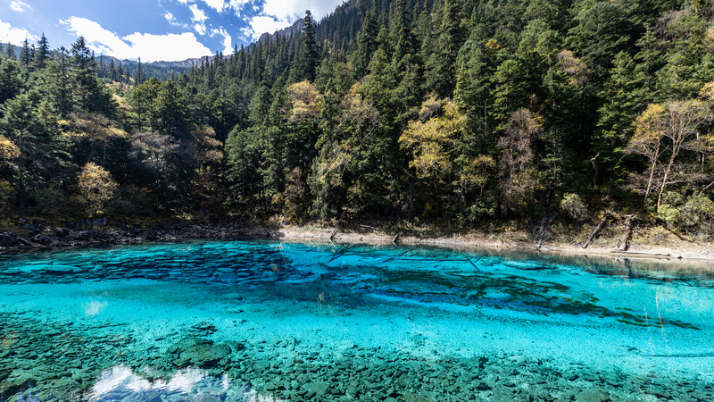 चीनी मुख्य भूमि में Jiuzhaigou में मोहक पांच-रंग वाली झील: प्रकृति की कैलेडियोस्कोप चीनी मुख्य भूमि में Jiuzhaigou में मोहक पांच-रंग वाली झील: प्रकृति की कैलेडियोस्कोप video poster