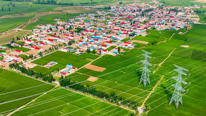 कैसे संस्कृति और पर्यटन ग्रामीण वुझोंग को पुनर्जीवित कर रहे हैं