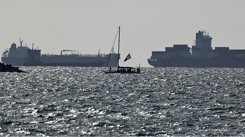 137 गाज़ा फ़्लोटिला कार्यकर्ता इस्तांबुल में उतरे इज़राइली हिरासत के बाद