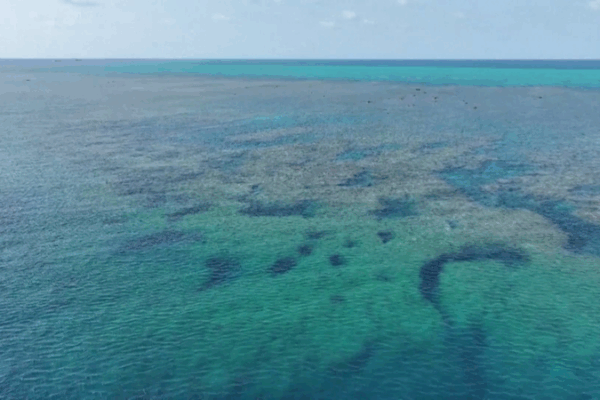 चीन ने हुआंगयान दाओ के जल क्षेत्र पर 2025 पारिस्थितिकी रिपोर्ट जारी की