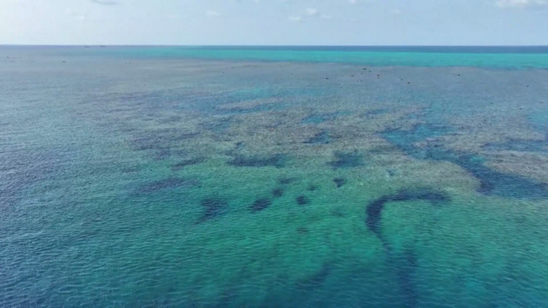 चीन ने हुआंगयान दाओ के जल क्षेत्र पर 2025 पारिस्थितिकी रिपोर्ट जारी की