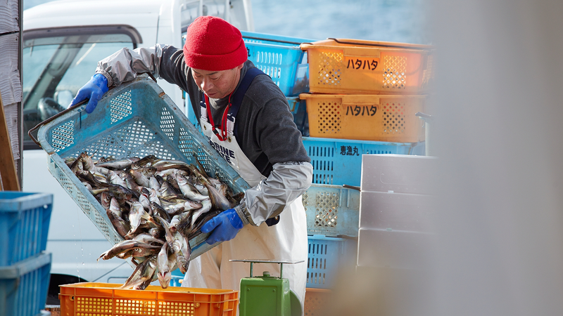 बढ़ते चीन-जापान तनाव ओकिनावा के मछुआरों को धमकी बढ़ते चीन-जापान तनाव ओकिनावा के मछुआरों को धमकी video poster