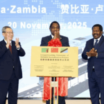 चीन ज़ाम्बिया, तंजानिया के साथ साझेदारी करके TAZARA रेलवे को पुनर्जीवित करता है चीन ज़ाम्बिया, तंजानिया के साथ साझेदारी करके TAZARA रेलवे को पुनर्जीवित करता है