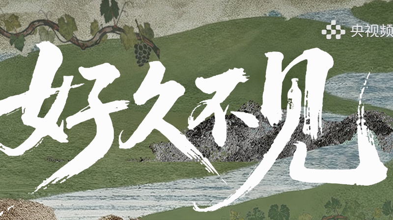 बहुत समय हो गया: नई डॉक्यूमेंट्री टॉक शो आधुनिक चीन की कहानियों को दर्शाती है video poster